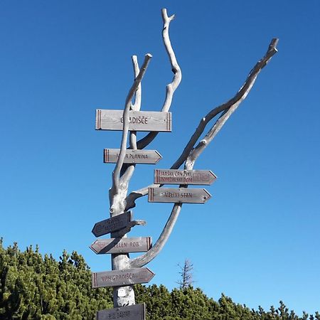 Chalet Zlatica Velika Planina Stahovica Zewnętrze zdjęcie