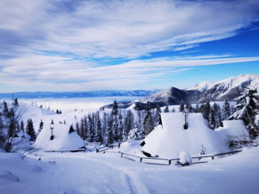 Chalet Zlatica Velika Planina Stahovica Zewnętrze zdjęcie