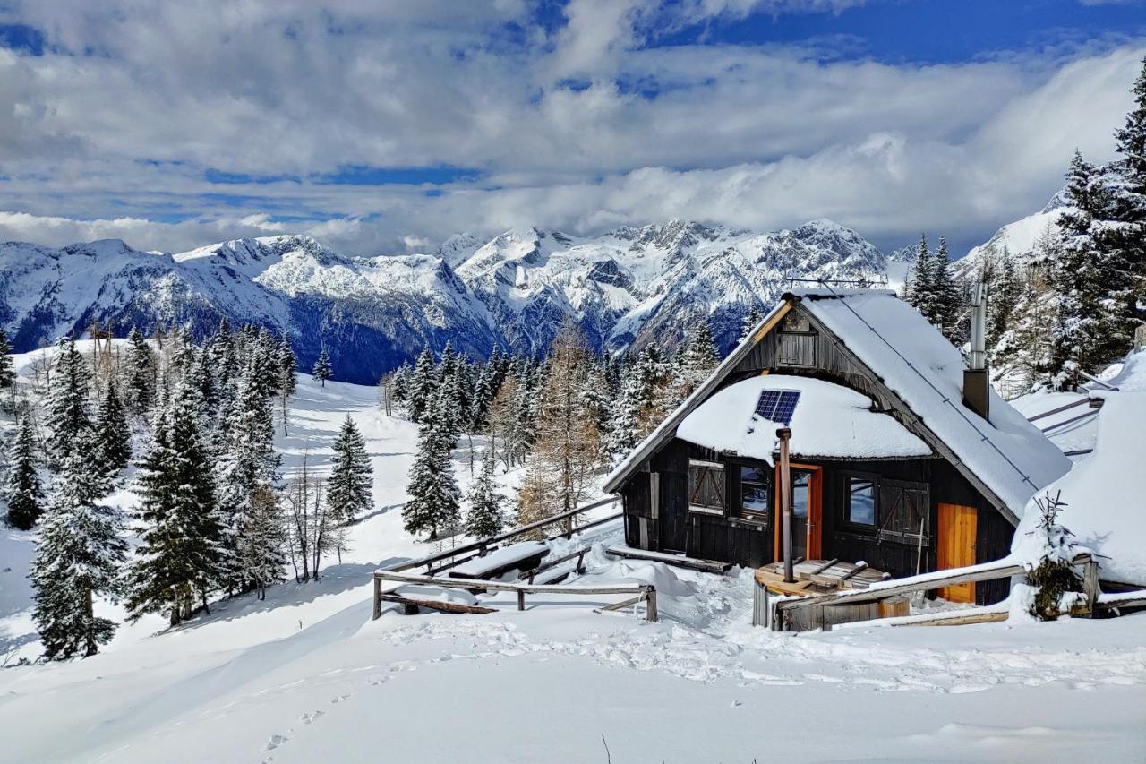 Chalet Zlatica Velika Planina Stahovica Zewnętrze zdjęcie