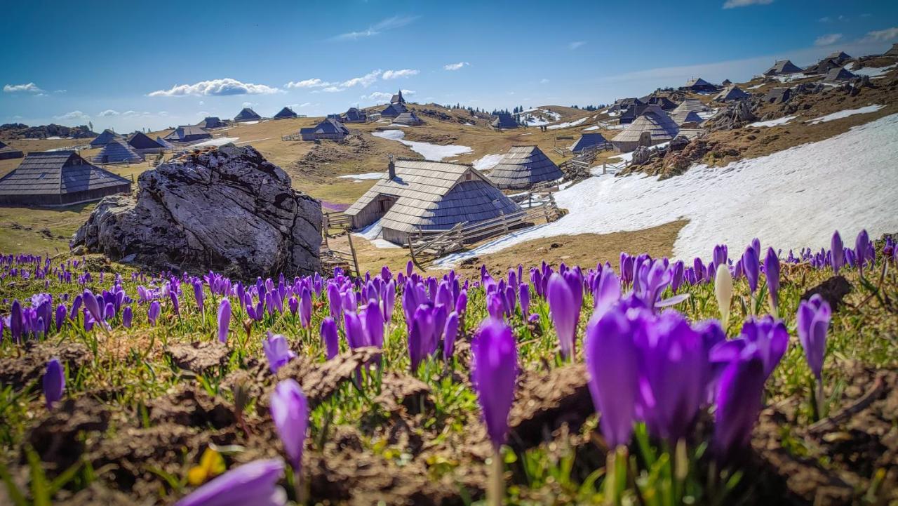 Chalet Zlatica Velika Planina Stahovica Zewnętrze zdjęcie