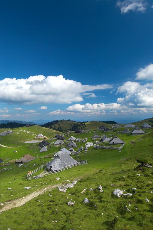 Chalet Zlatica Velika Planina Stahovica Zewnętrze zdjęcie